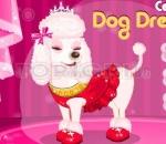 Звездни кучета  Celebrity Dog