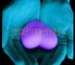 Qki Snimki Na Momi4eta Pin Qki Snimki Na Momi4eta Httpamxmodxbgorgforumviewtopicphpp on ...