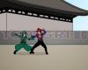 Драконов юмрук 2  Dragonfist 2